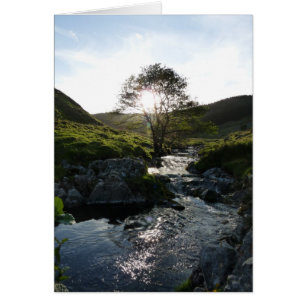 Cartão Vale feliz Northumberland, Inglaterra