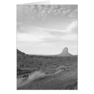 Cartão Vale Monumento B&W 4