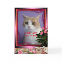 Valentine de Gato Engraçado Personalizável