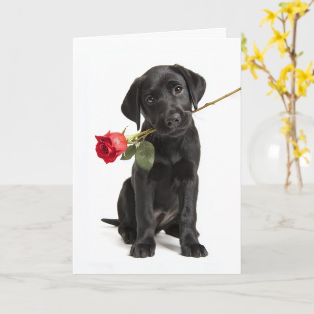 Cartão Valentine de Labrador preto (Flor Amarela)