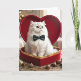 Cartão Valentine Persian Cat In Candy Box