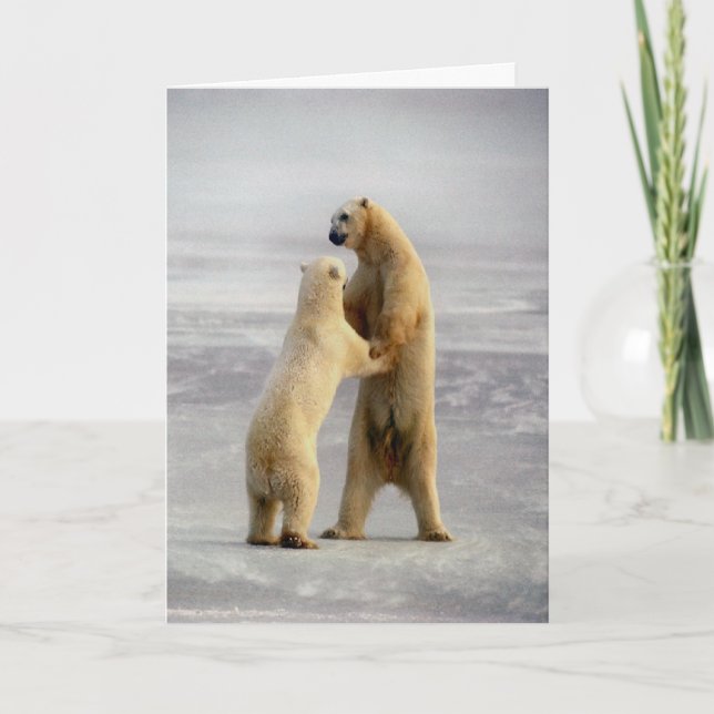 Cartão Valsa ártica (Frente)