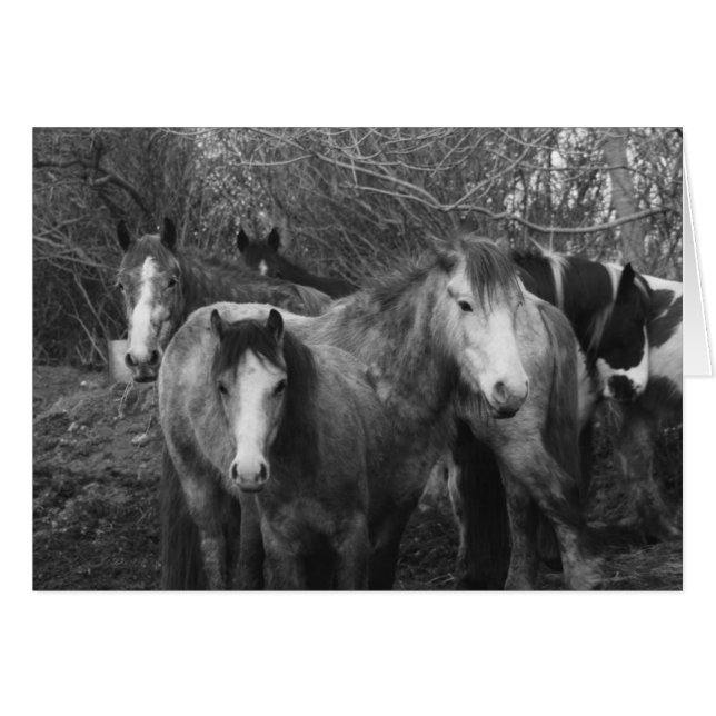 Cartão Vamos todos façam o Conga! (Frente Horizontal)