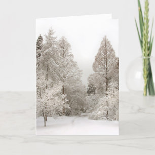 Cartão Vancouver Winter Cards Impressão Canadá Souvenir