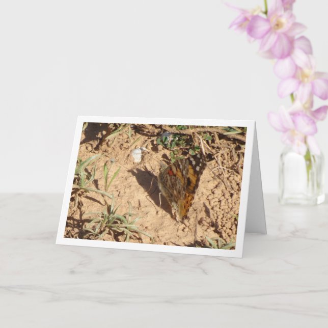 Cartão Vanessa cardui - Cartão-Borboleta-Dama Pintado (Orquídea)