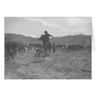Cartão Vaqueiro que roping uma vitela para a marcagem com