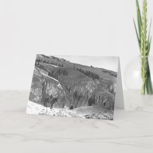 Cartão Vaqueiro separado de seu rebanho (Frente)