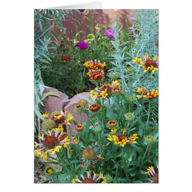 CARTÃO VARIEDADE DE JARDIM (Frente)