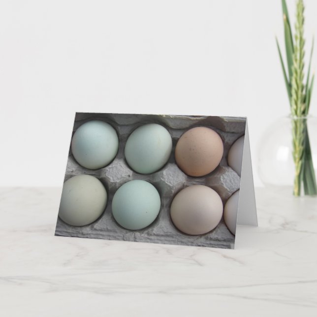 Cartão Variedade Pack (Frente)