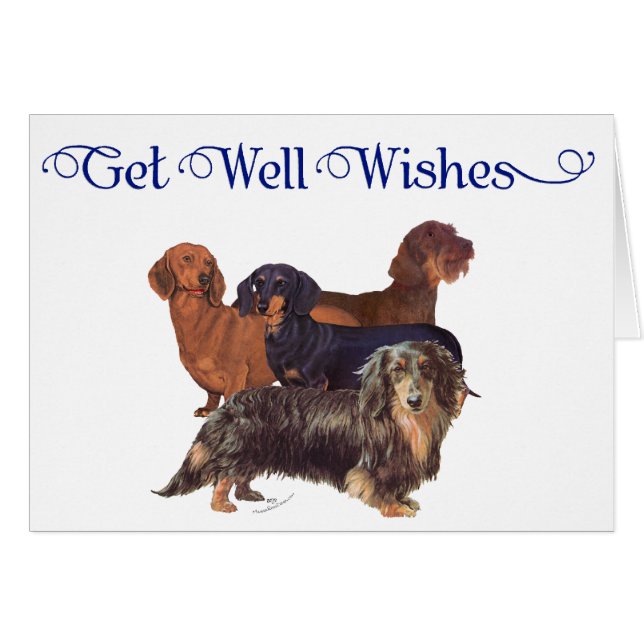 Cartão Variedades de Dachshund (Frente Horizontal)