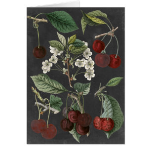 Cartão Variedades de Pomar I