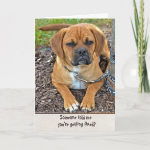 Cartão Vasectomia Humor