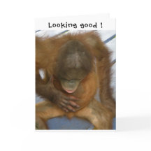 Vasectomia Parecendo Boa