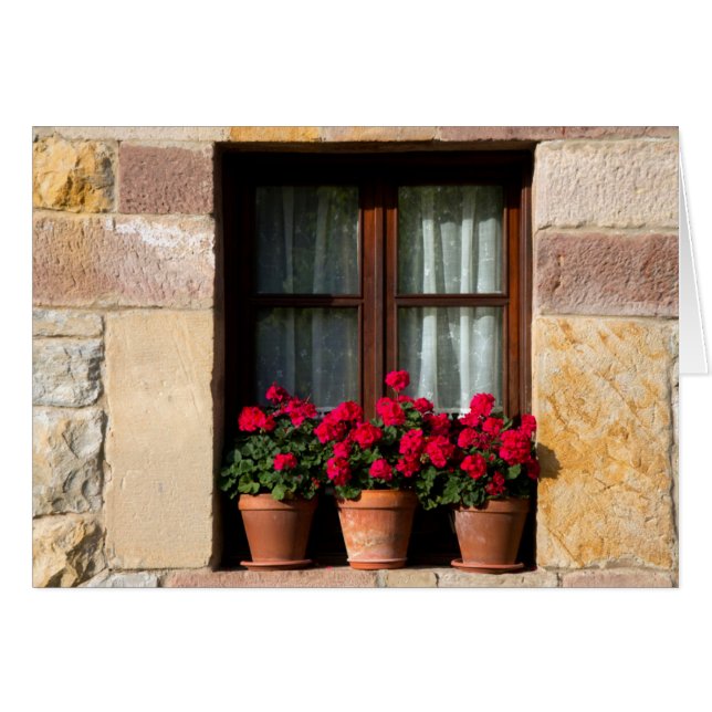 Cartão Vasos de flores na janela da aldeia (Frente Horizontal)