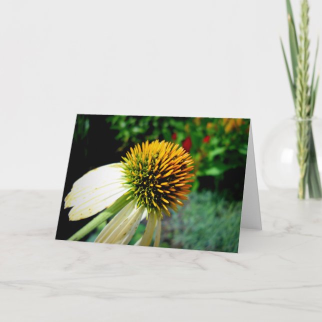 Cartão vazio (Frente)