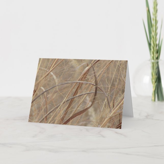 Cartão vazio (Frente)