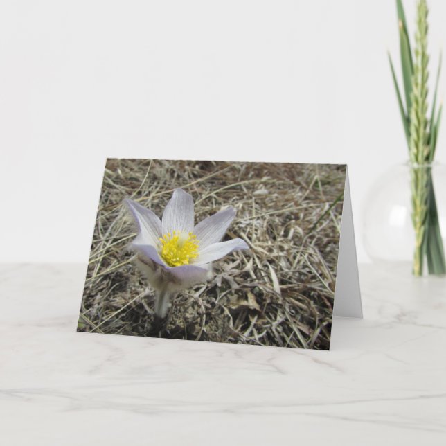 Cartão vazio (Frente)