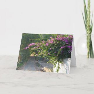 Cartão vazio - Bougainvillea em uma parede