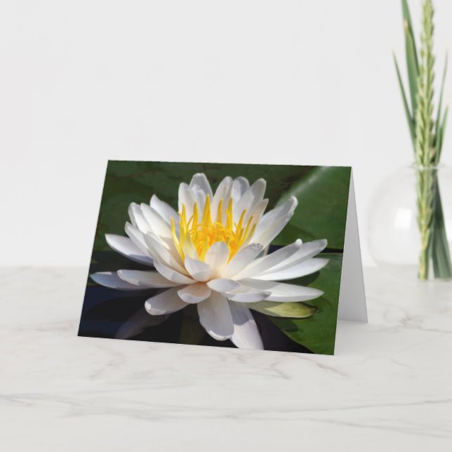 Cartão vazio branco de Waterlily (Frente)