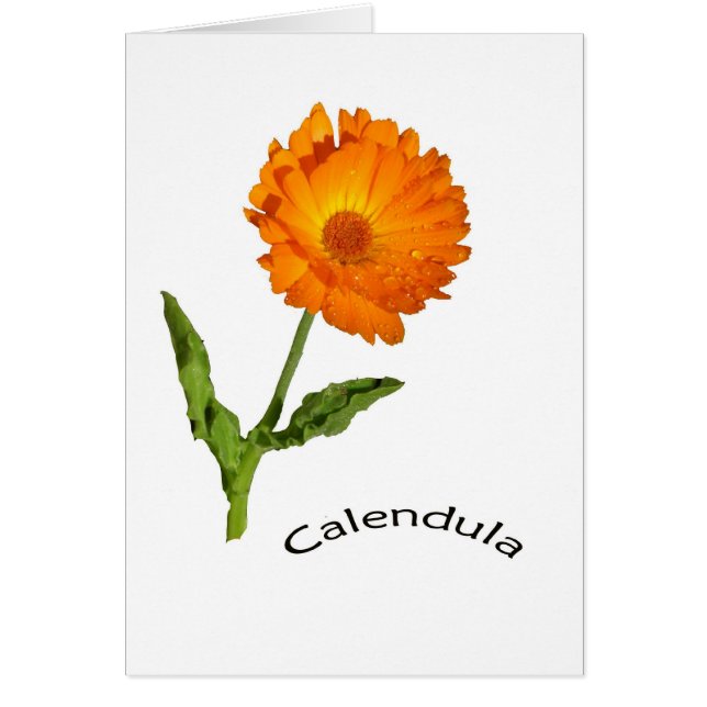 Cartão - vazio - Calendula com etiqueta (Frente)
