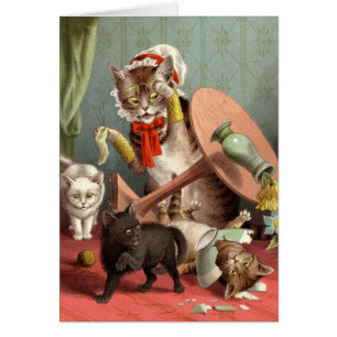 Cartão vazio - caos do gato