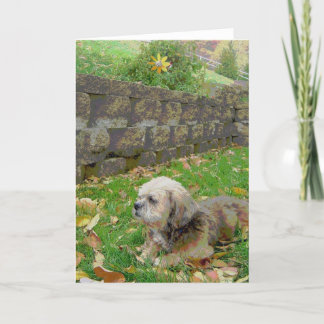 Cartão vazio com adoptivo