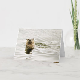 Cartão vazio com foto da lontra