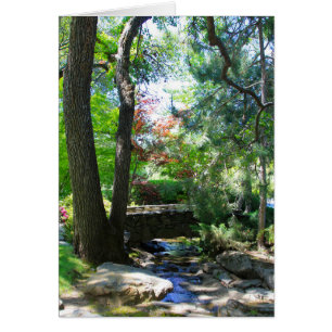 Cartão vazio, córrego & ponte