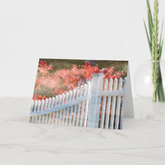 Cartão vazio da cerca líquida da vida (Frente)