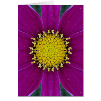 Cartão vazio da flor