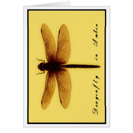 Cartão vazio da libélula