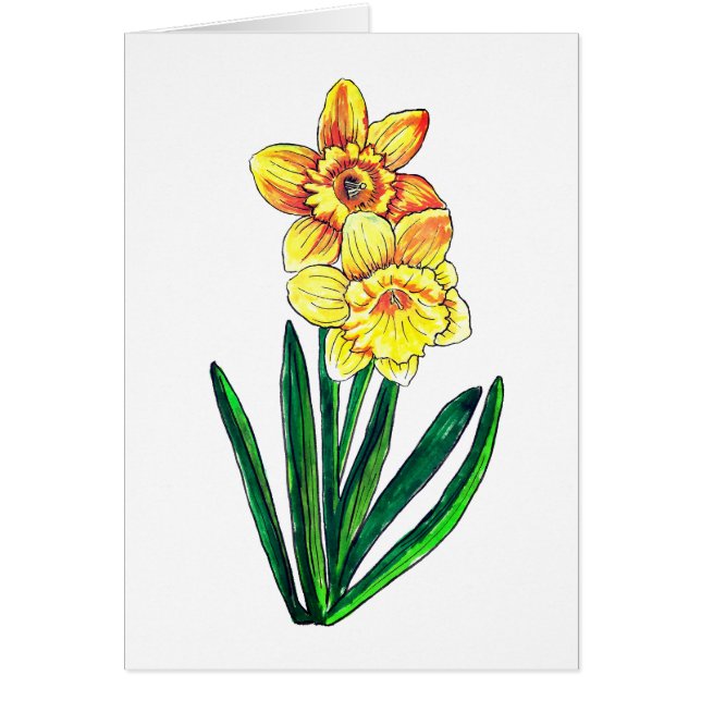 Cartão Vazio Daffodils (Frente)