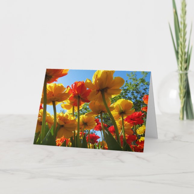 Cartão vazio das tulipas 8 (Frente)