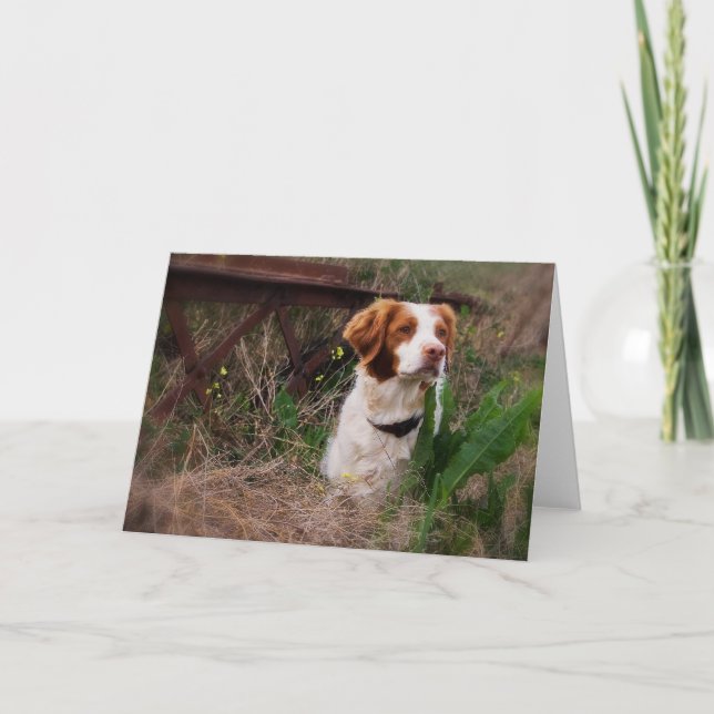 Cartão vazio de Brittany (Frente)