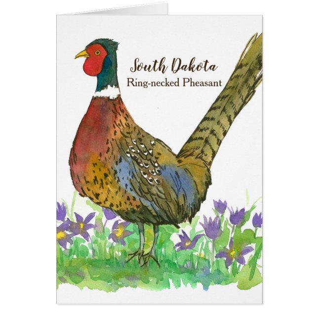 Cartão Vazio de Faisão Necesante do Dakota do Sul (Frente)