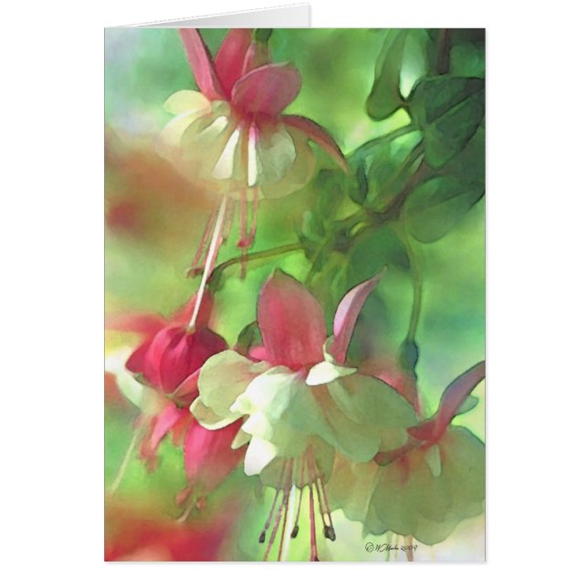 Cartão Vazio de flores (Frente)