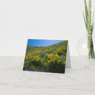 Cartão Vazio de Superfloração Balsam e Lupine