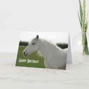 Cartão vazio do aniversário do cavalo branco