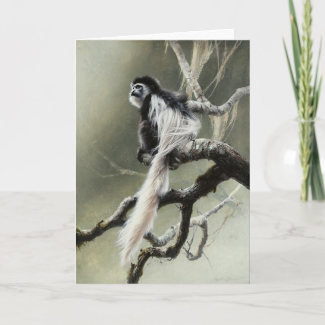 Cartão vazio do Colobus por Andrew Denman (Frente)