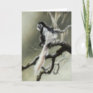 Cartão vazio do Colobus por Andrew Denman
