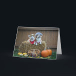 Cartão vazio do fazendeiro e da esposa do Corgi<br><div class="desc">Este fazendeiro do corgi e seu cartão da esposa estão vazios. Pode ser usado para muitas ocasiões como o aniversário,  aniversário,  obtem bem,  obrigado,  pensando de você,  do incentivo etc.</div>