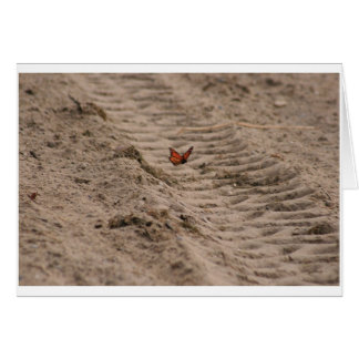 Cartão vazio do monarca