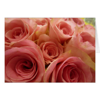 Cartão vazio dos rosas