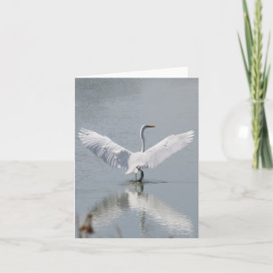 Cartão vazio, Egret