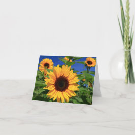 Cartão Vazio Floral Amarelo Girassol