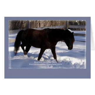 Cartão Vazio Morgan Horse Winter Wonderland