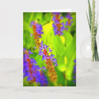 Cartão - vazio para dentro