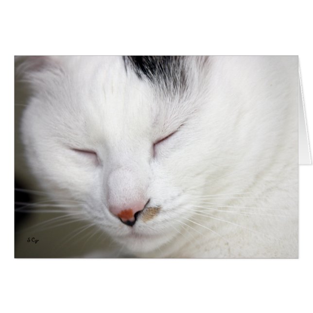 CARTÃO VAZIO PRECIOSO 2 (Frente Horizontal)