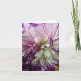 Cartão Vazio Roxo Dahlia