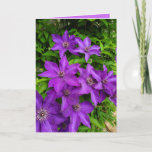 Cartão Vazio Roxo Lupine Floral<br><div class="desc">Bonito flores roxas,  Lupines,  feliz cartão de aniversário da mãe. Você pode alternar o membro da família para adicionar um nome diferente na área de personalização</div>